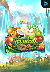 Bocoran RTP Tropical Crush di ZOOM555 | GENERATOR RTP SLOT